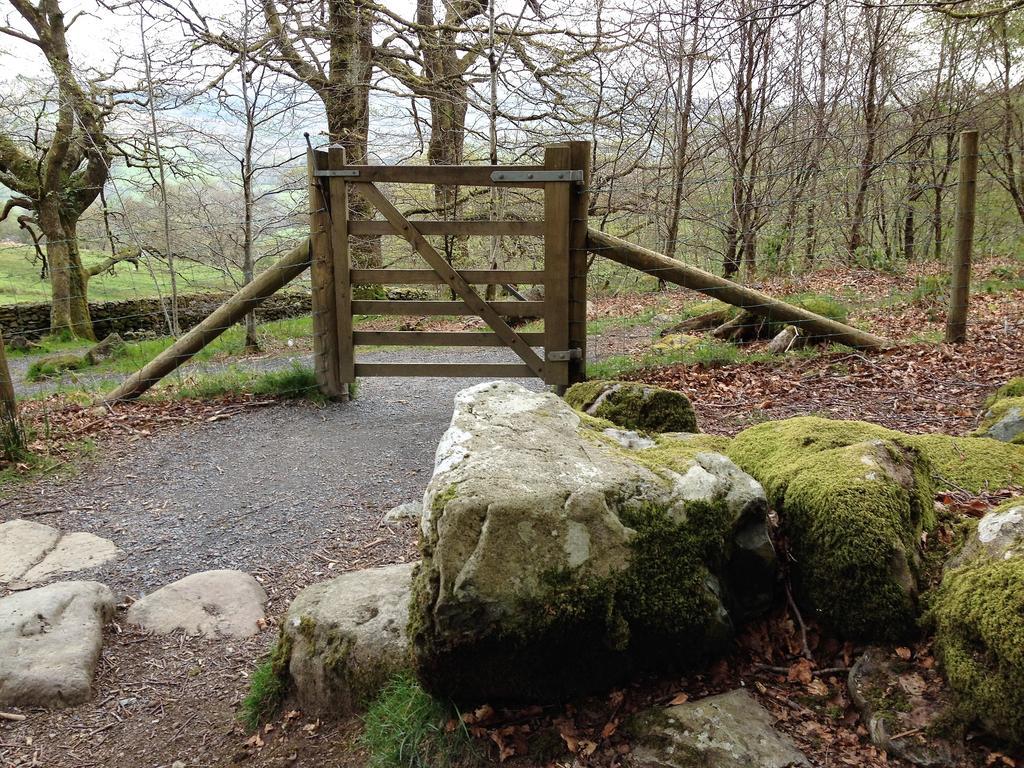 Snowdonia Snug - Studio Style Accommodation Dolgellau Esterno foto